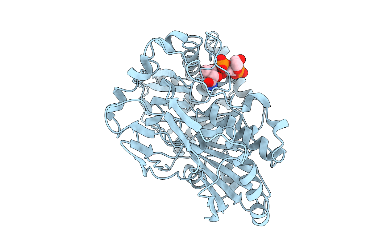 2XR7 image