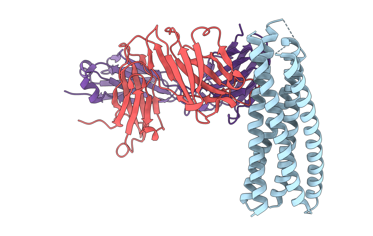 2XRA image