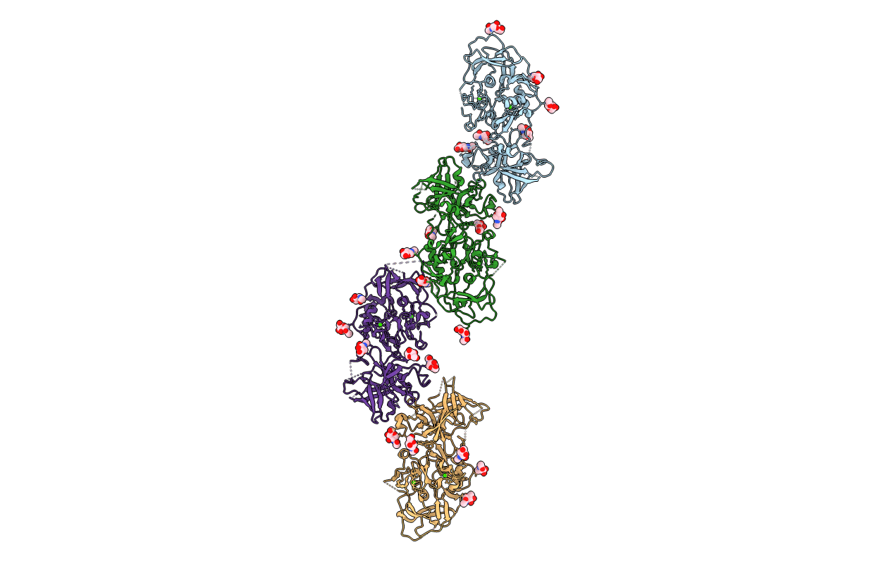 2XRC image