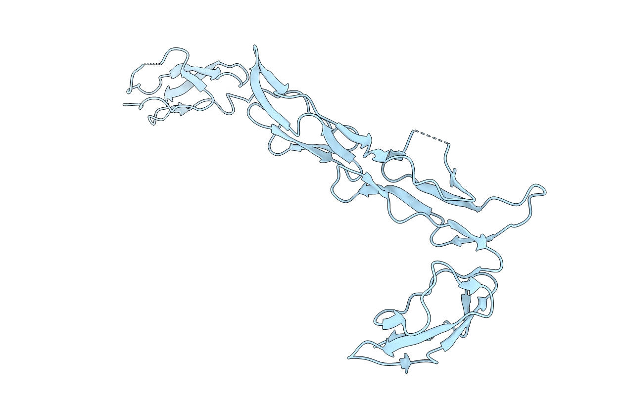 2XRD image