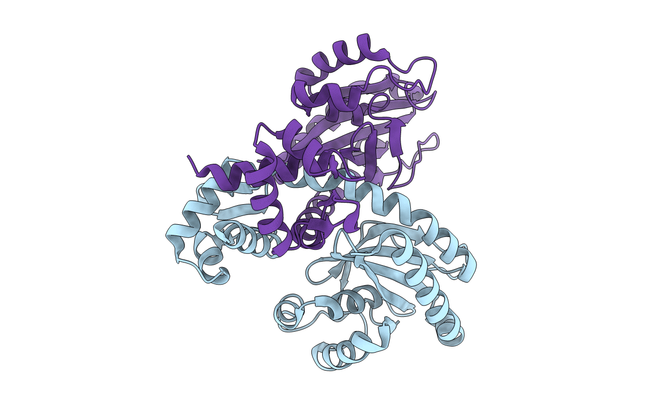 2XRN image