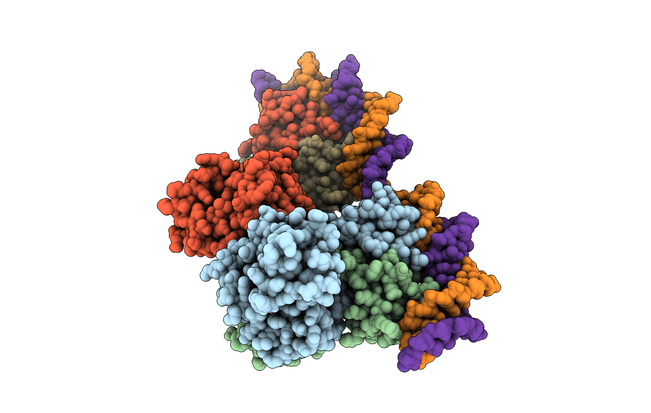 2XRO image