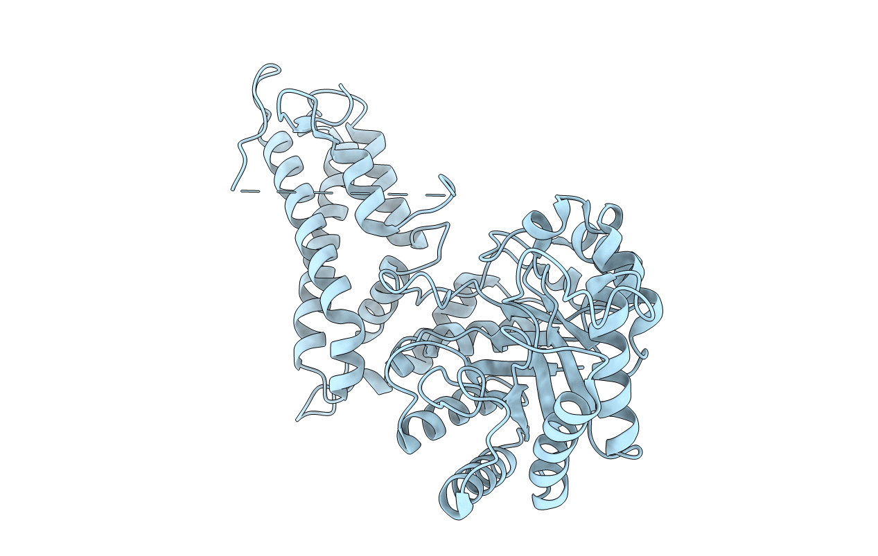 2XSA image