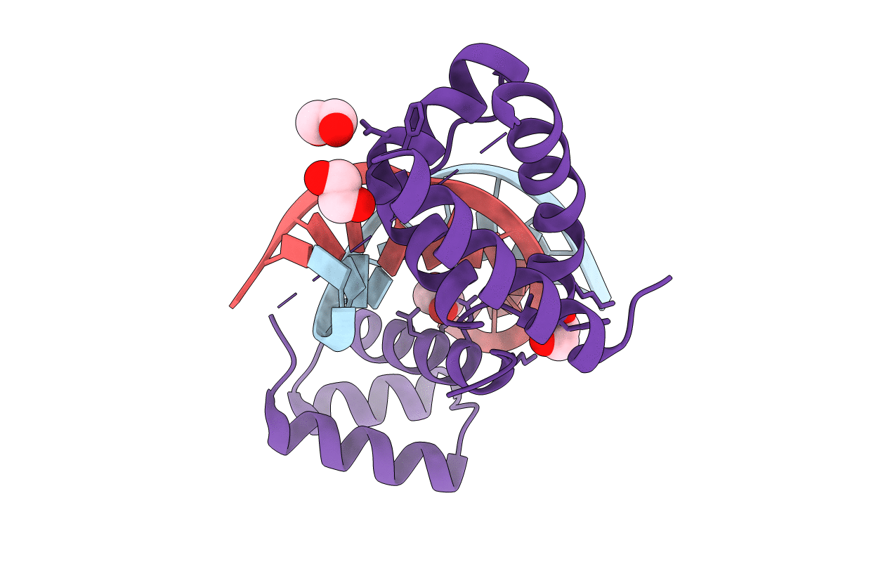 2XSD image