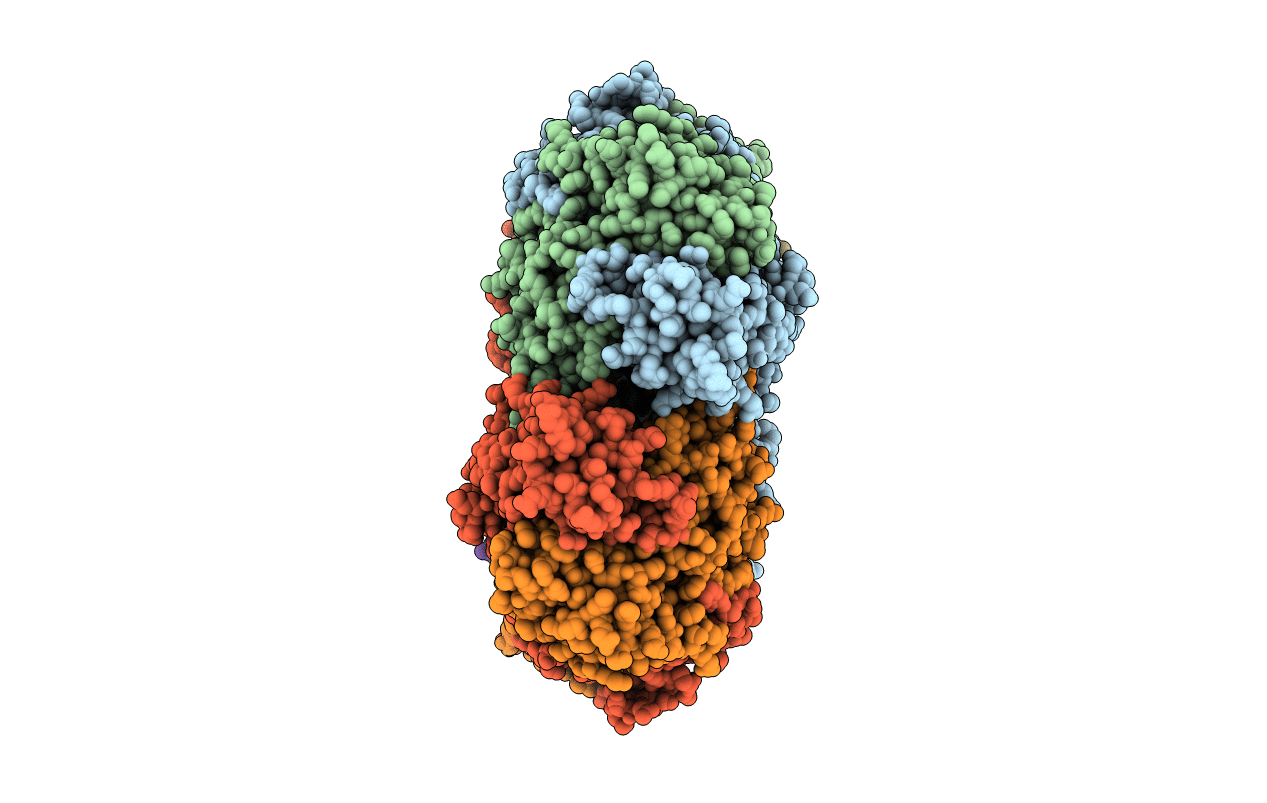 2XSJ image