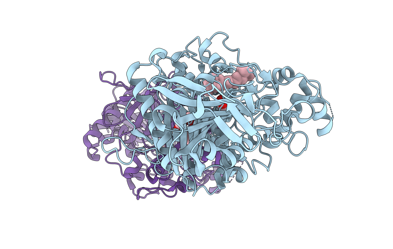 2XUD image