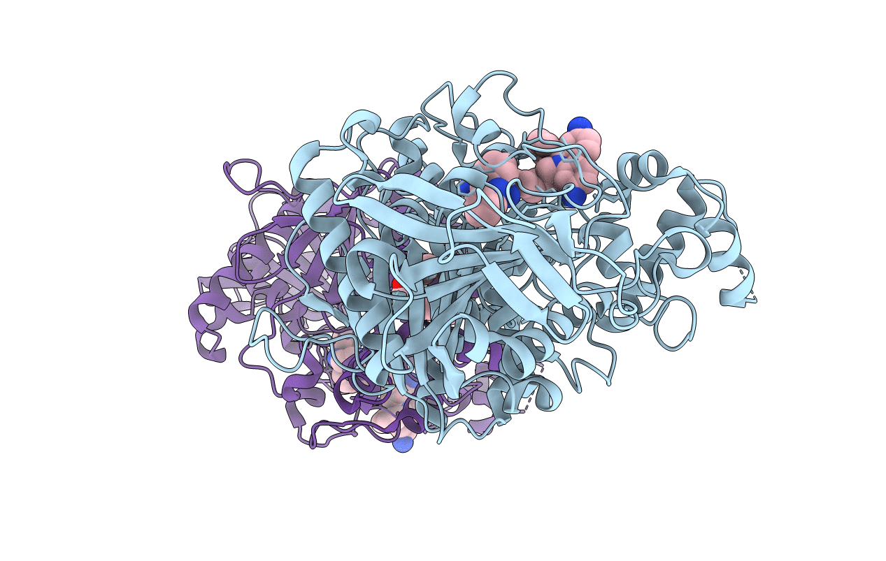 2XUQ image