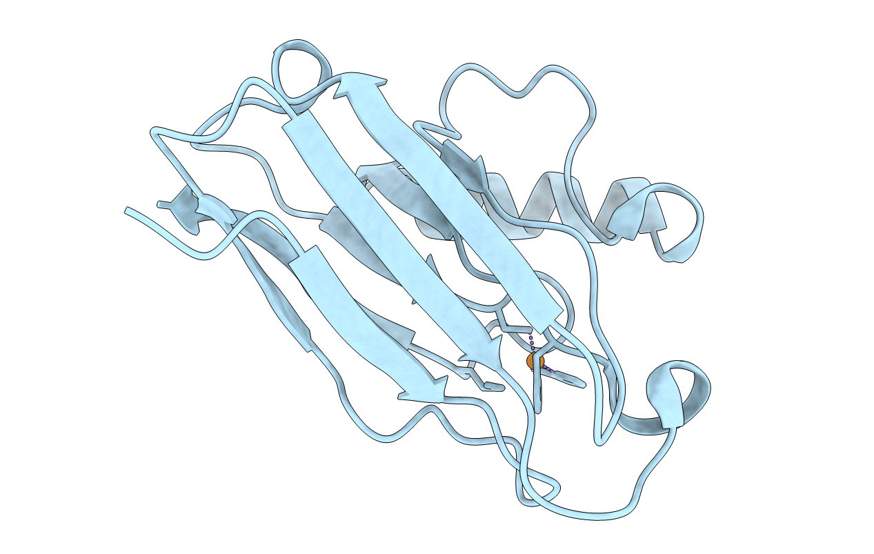 2XV0 image