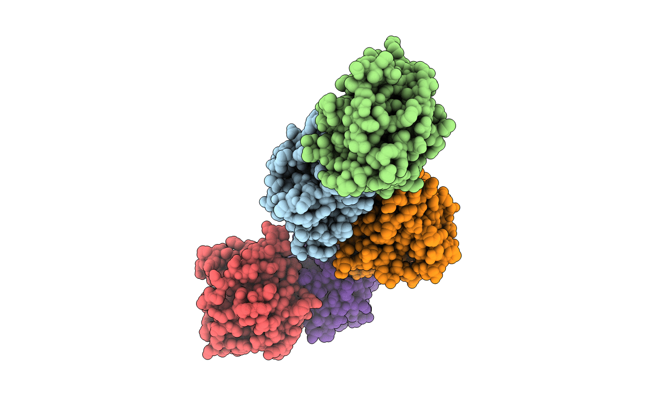 2XWG image