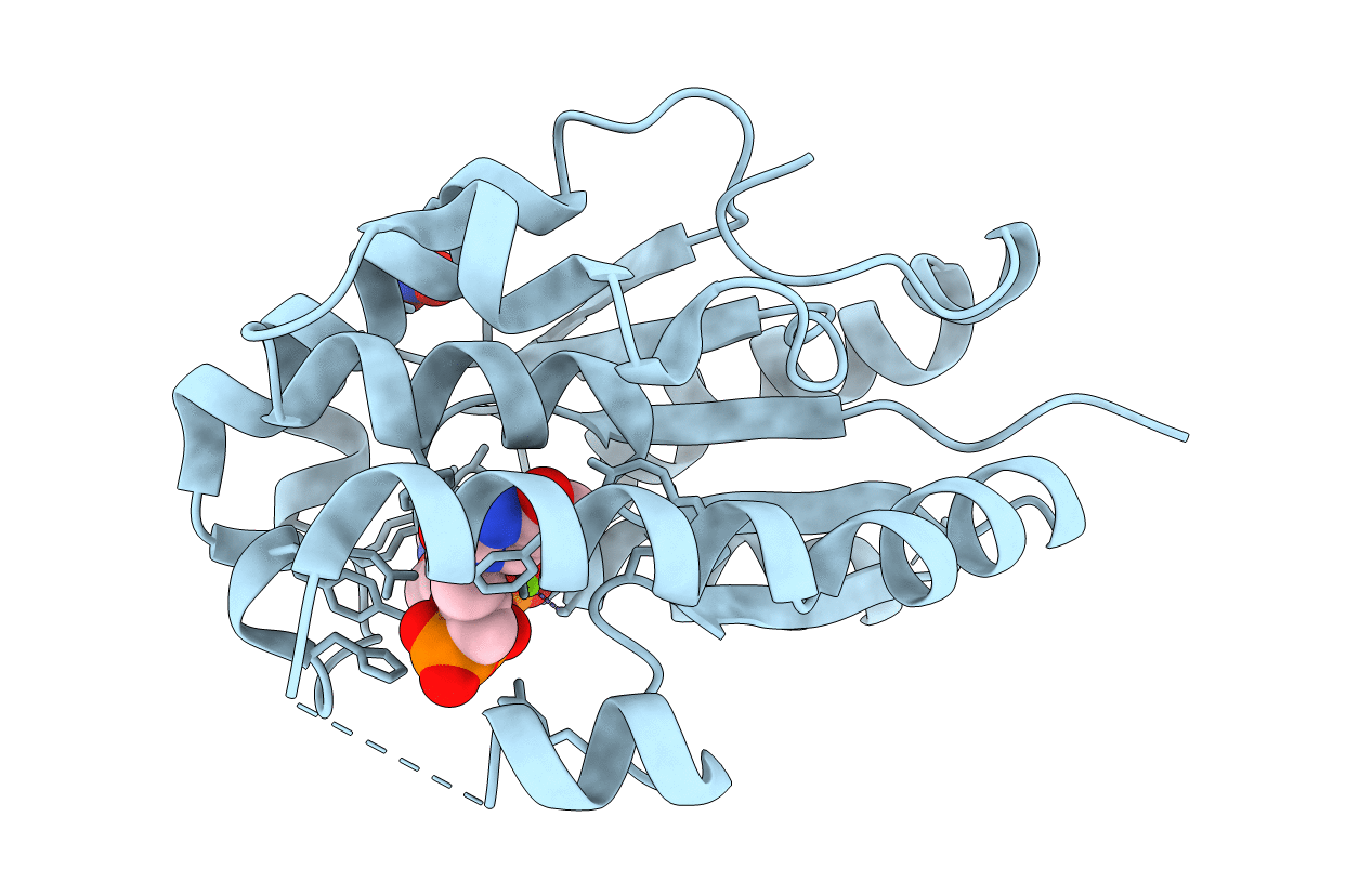 2XX3 image