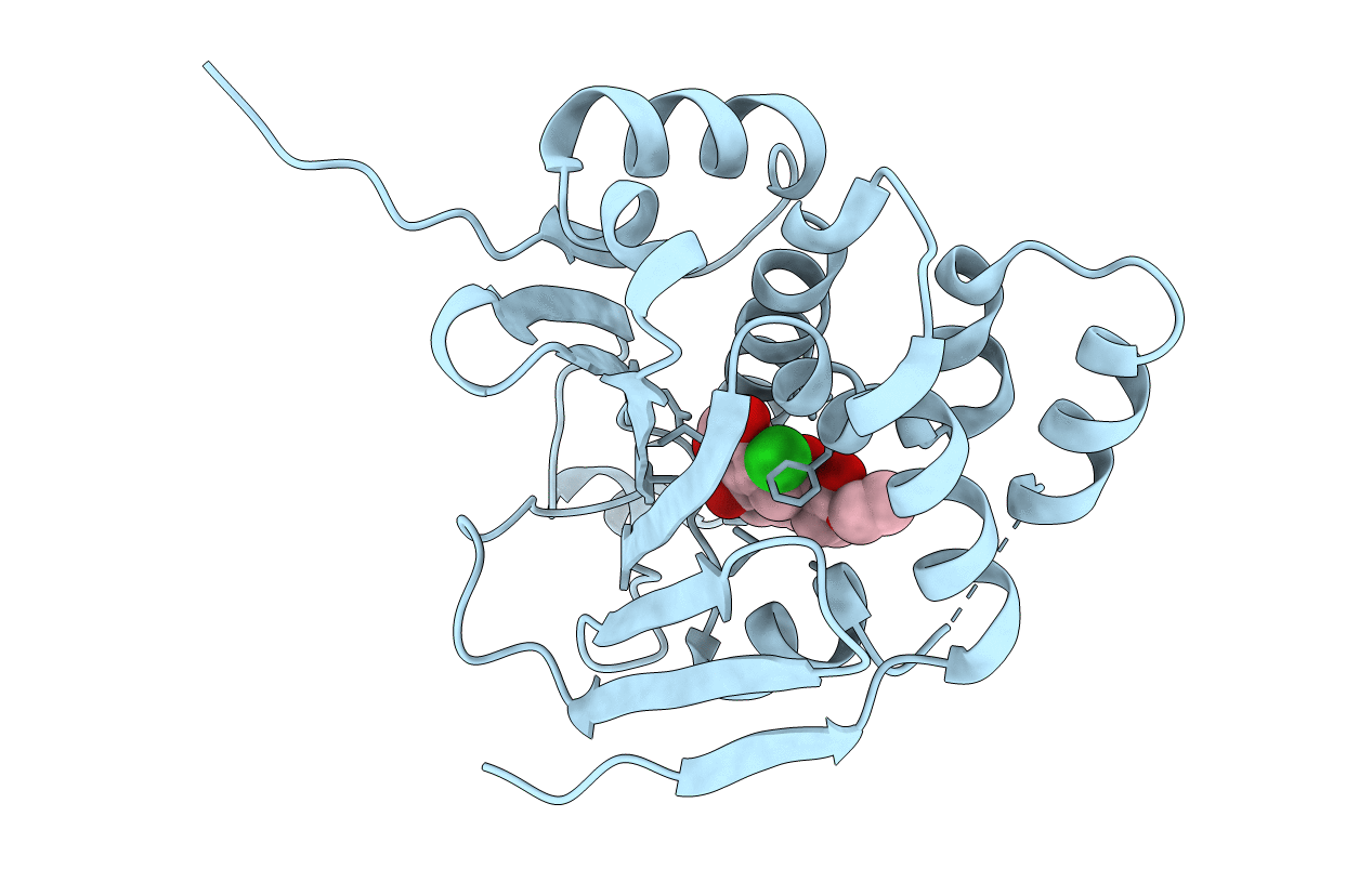 2XX4 image