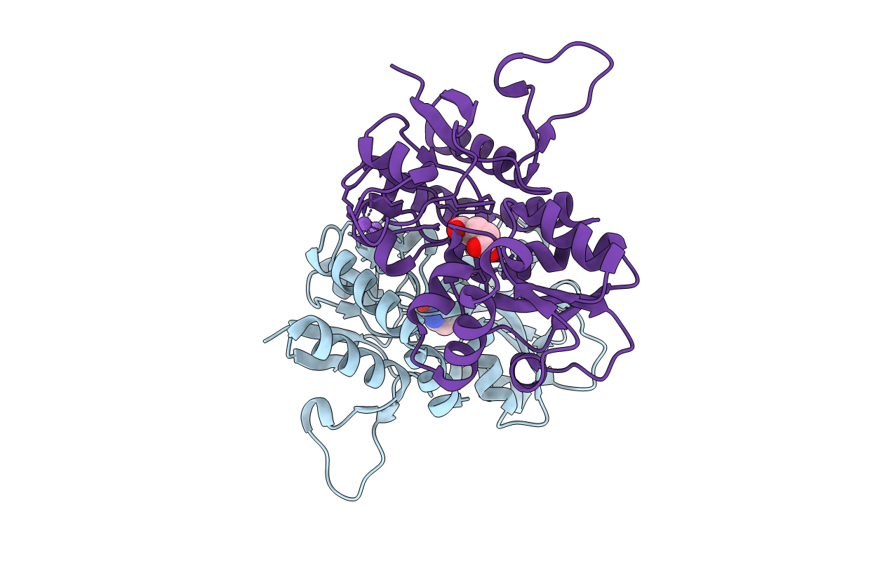 2XXU image