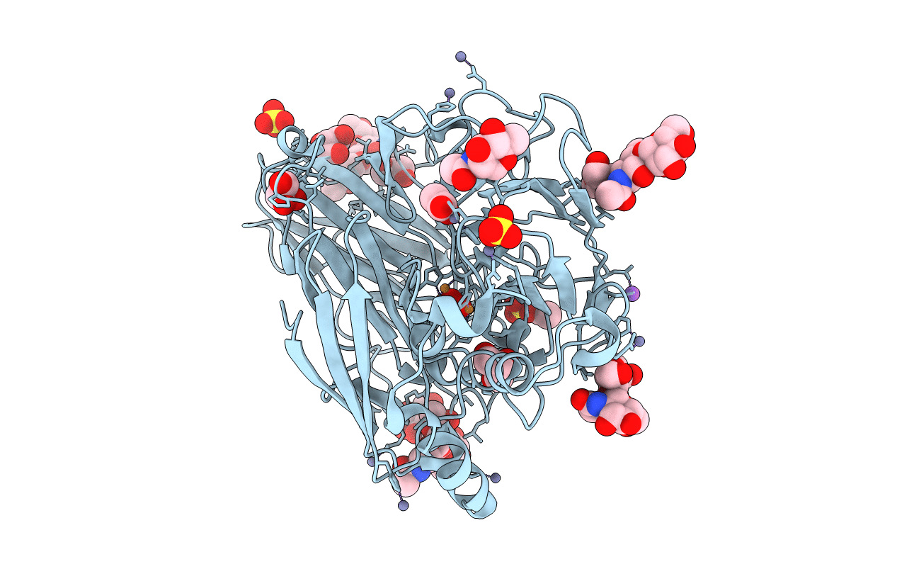 2XYB image