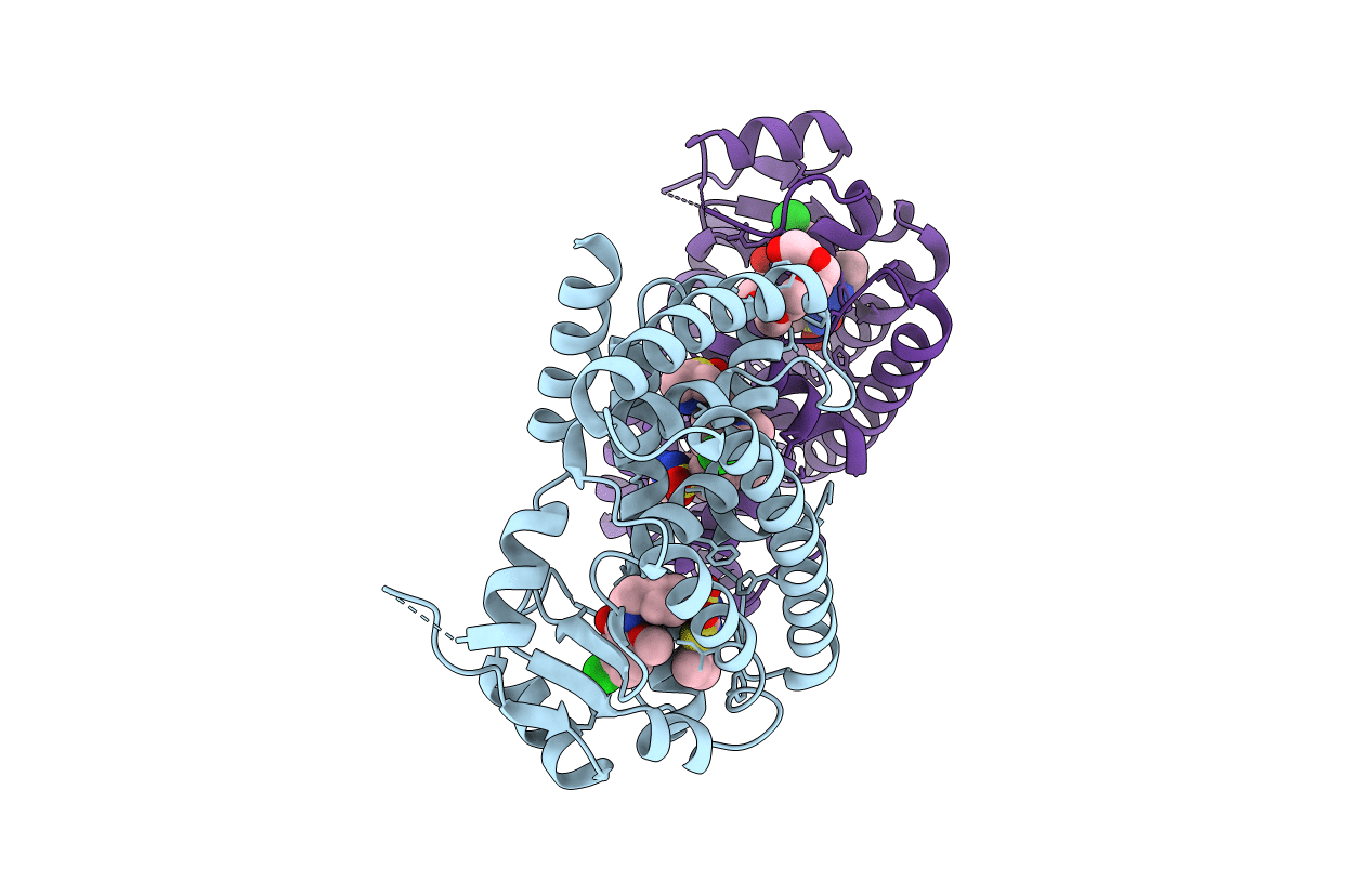 2XYJ image