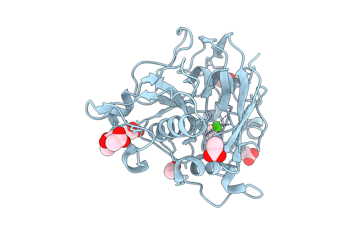 2Y3C image