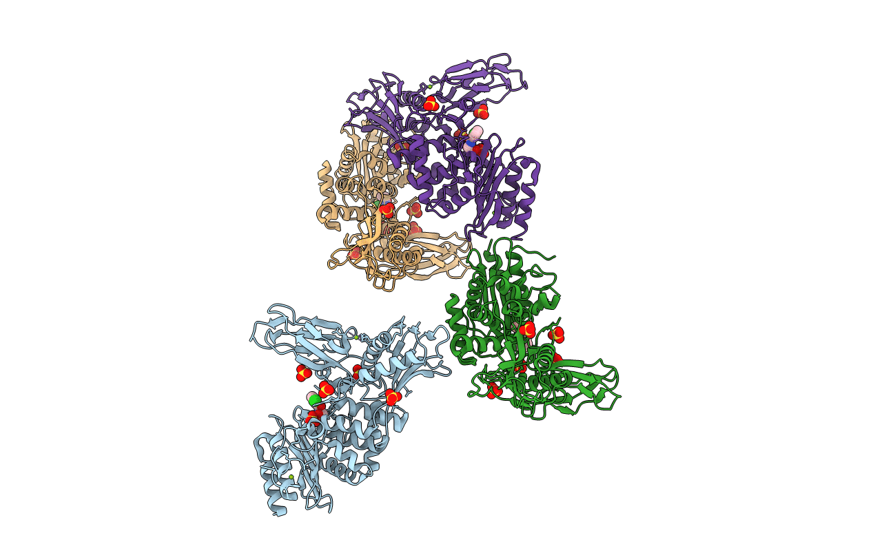 2Y4A image