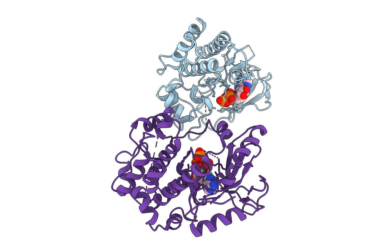2Y4I image