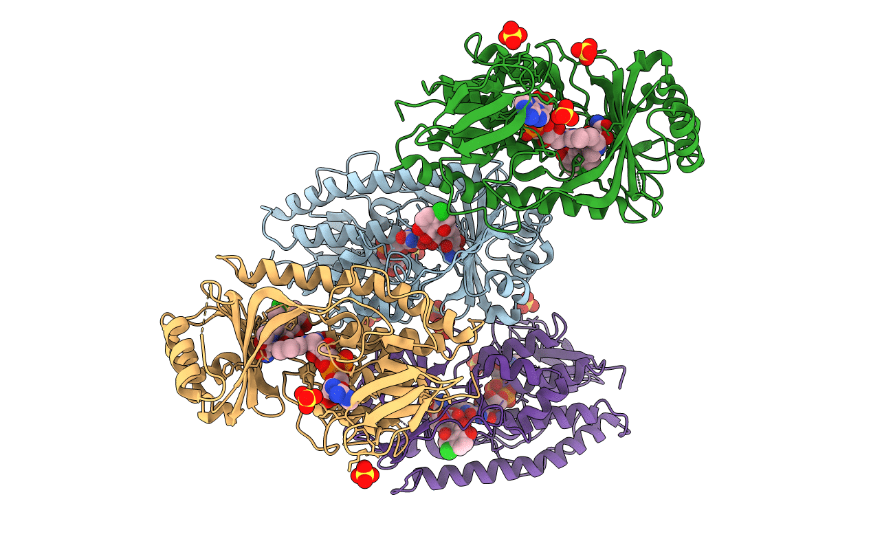 2Y6R image