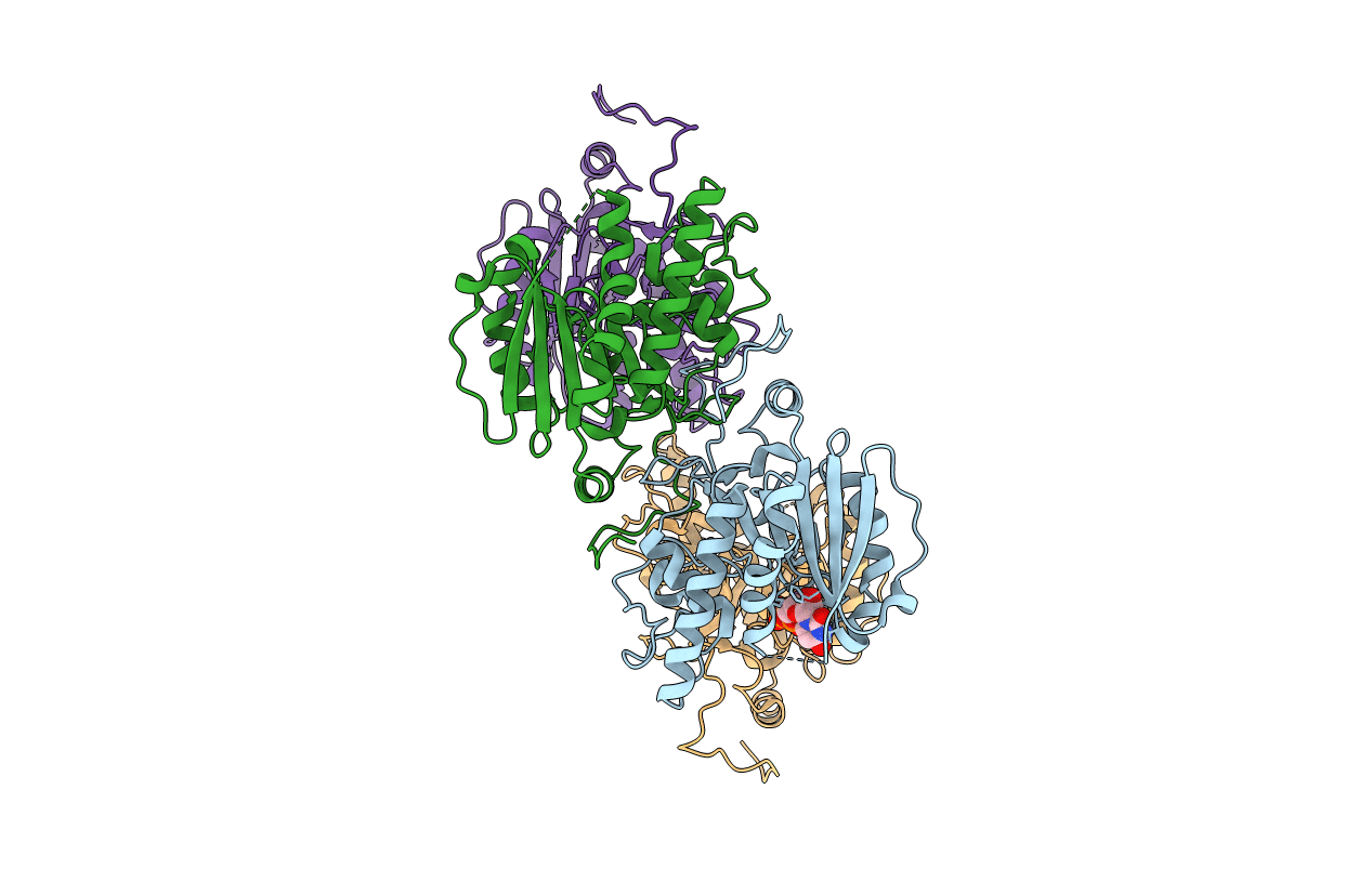2Y7A image