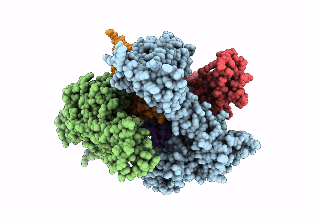 2Y7C image