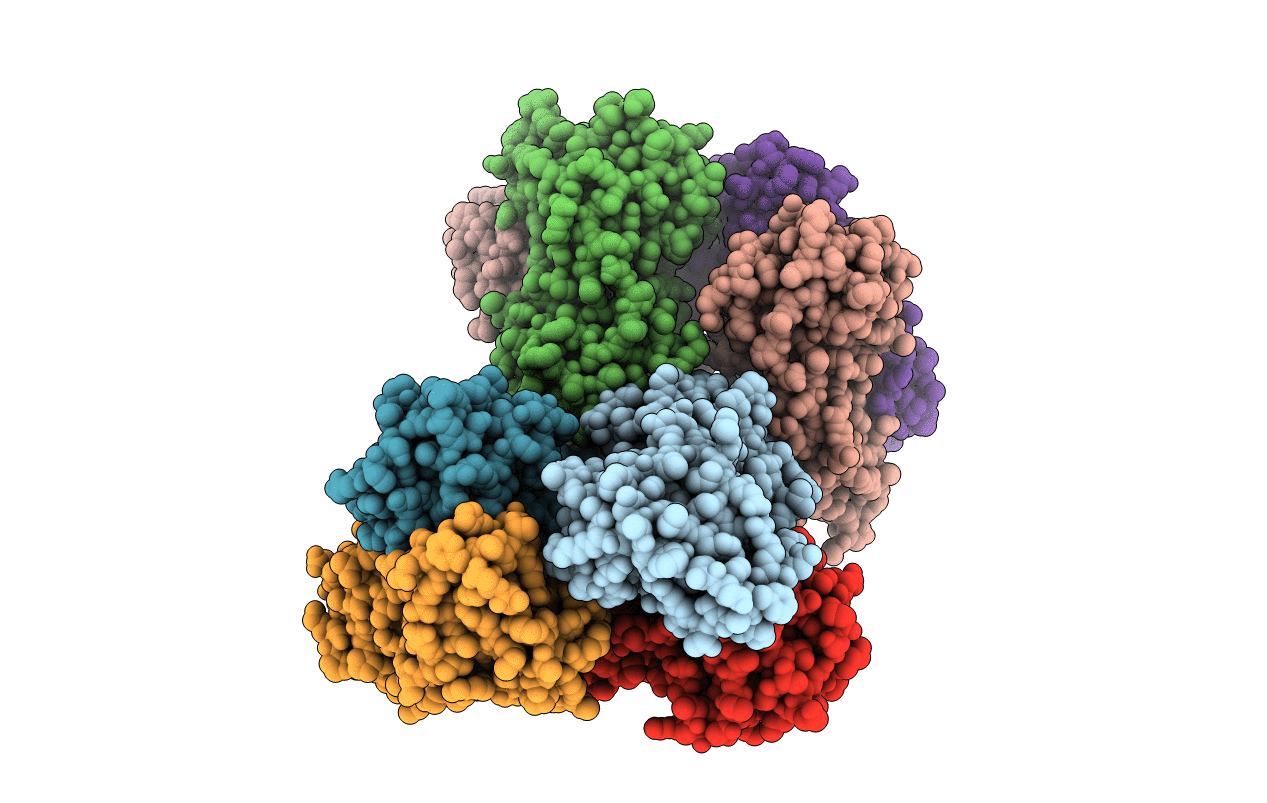 2Y7R image