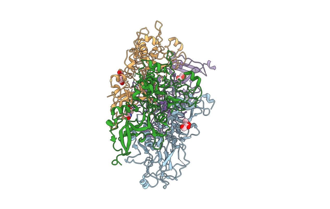 2Y8R image