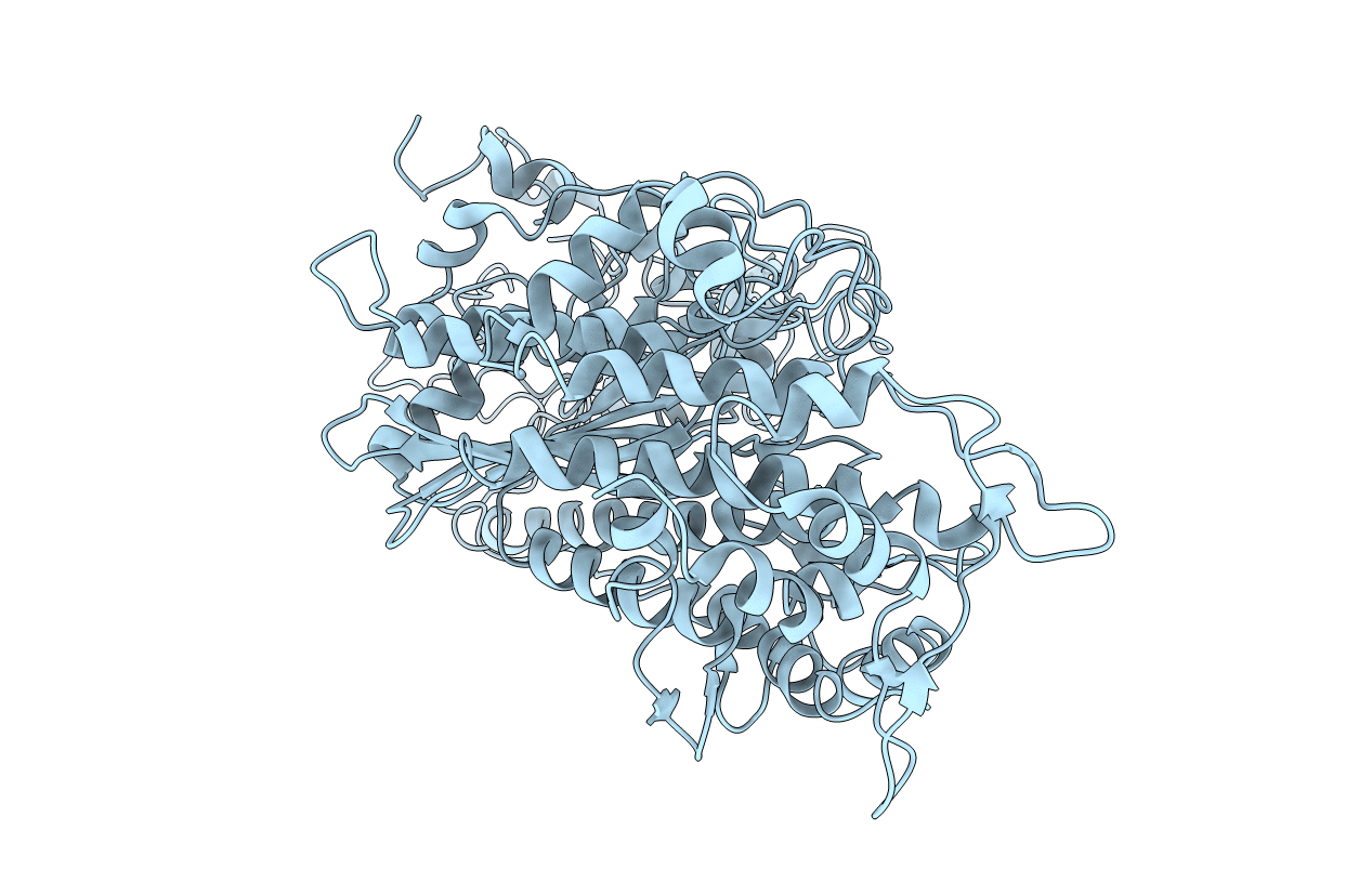 2Y9E image