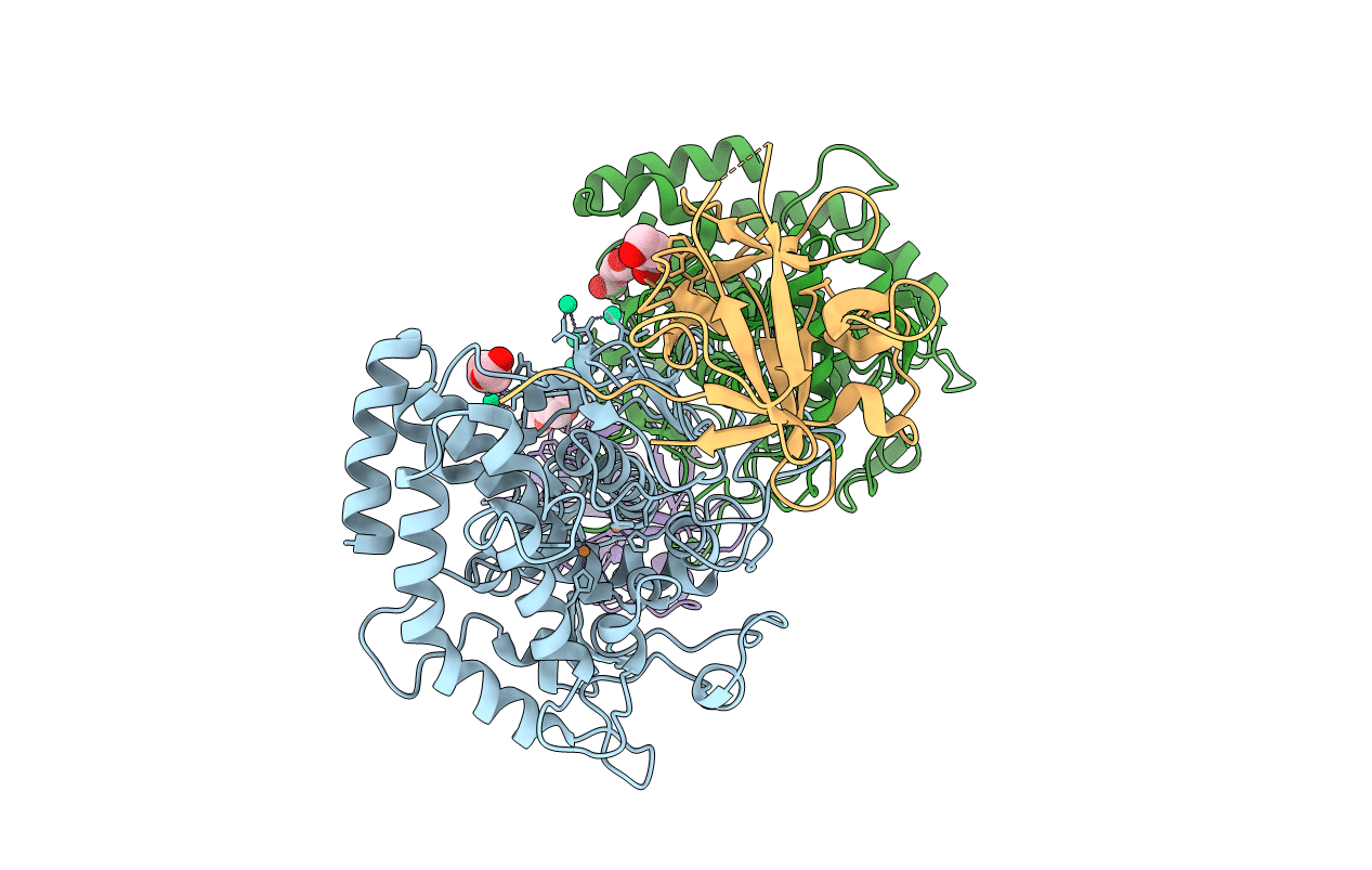 2Y9W image