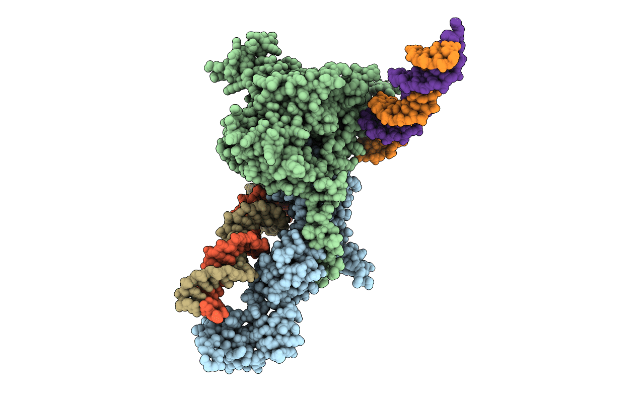 2Y9Z image