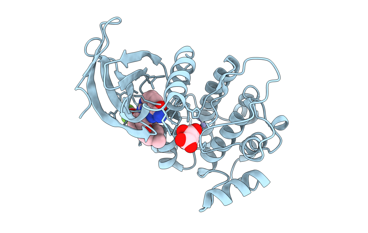 2YAC image
