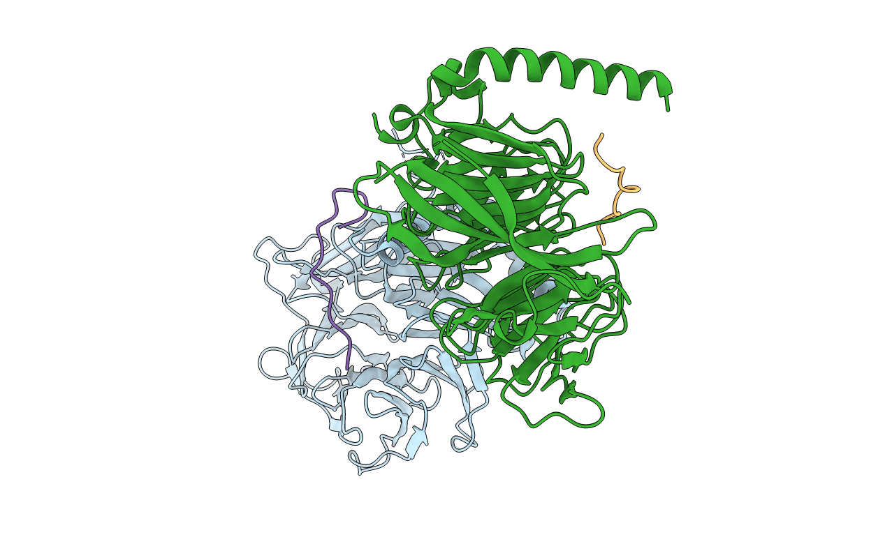 2YBA image