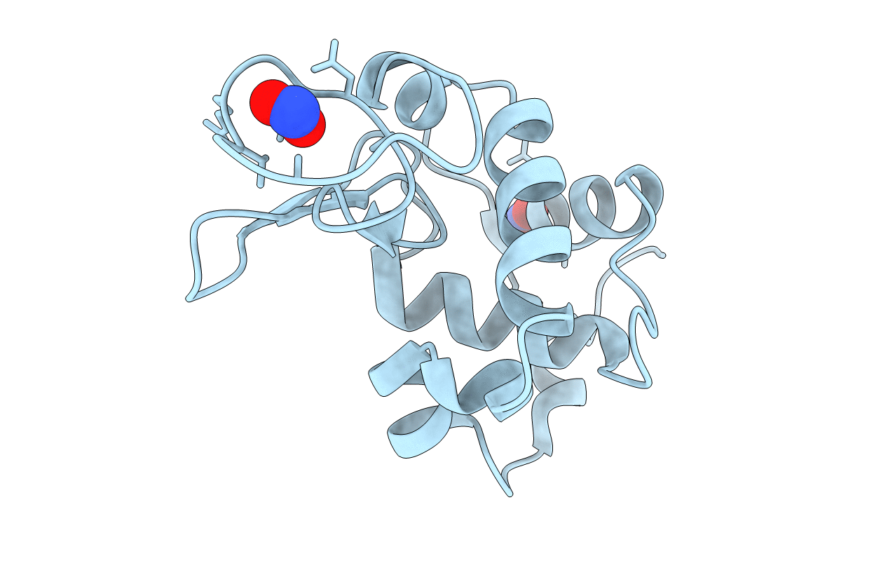 2YBL image