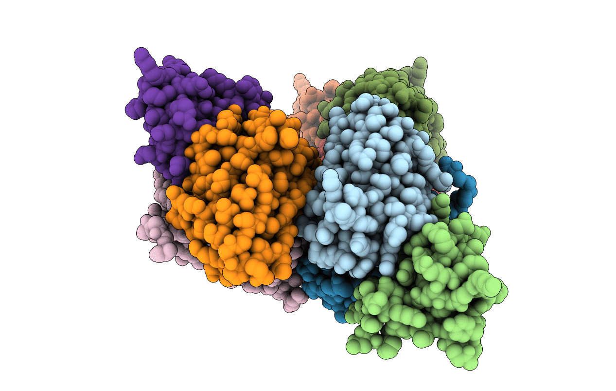 2YBR image
