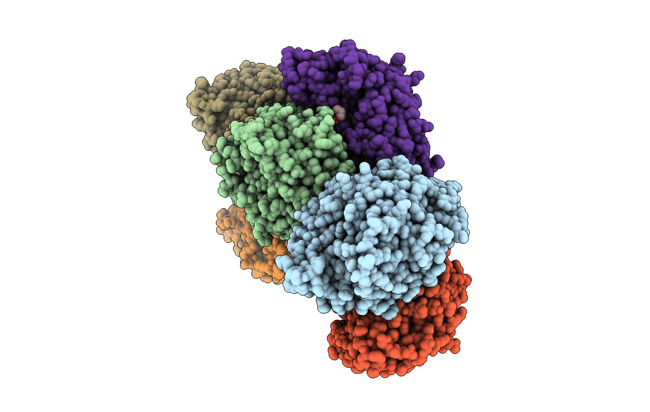 2YBU image