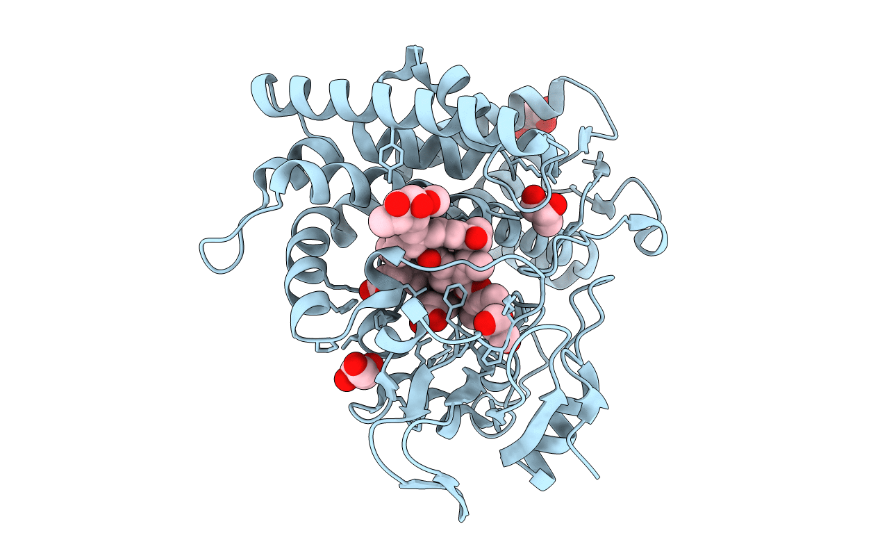 2YCA image