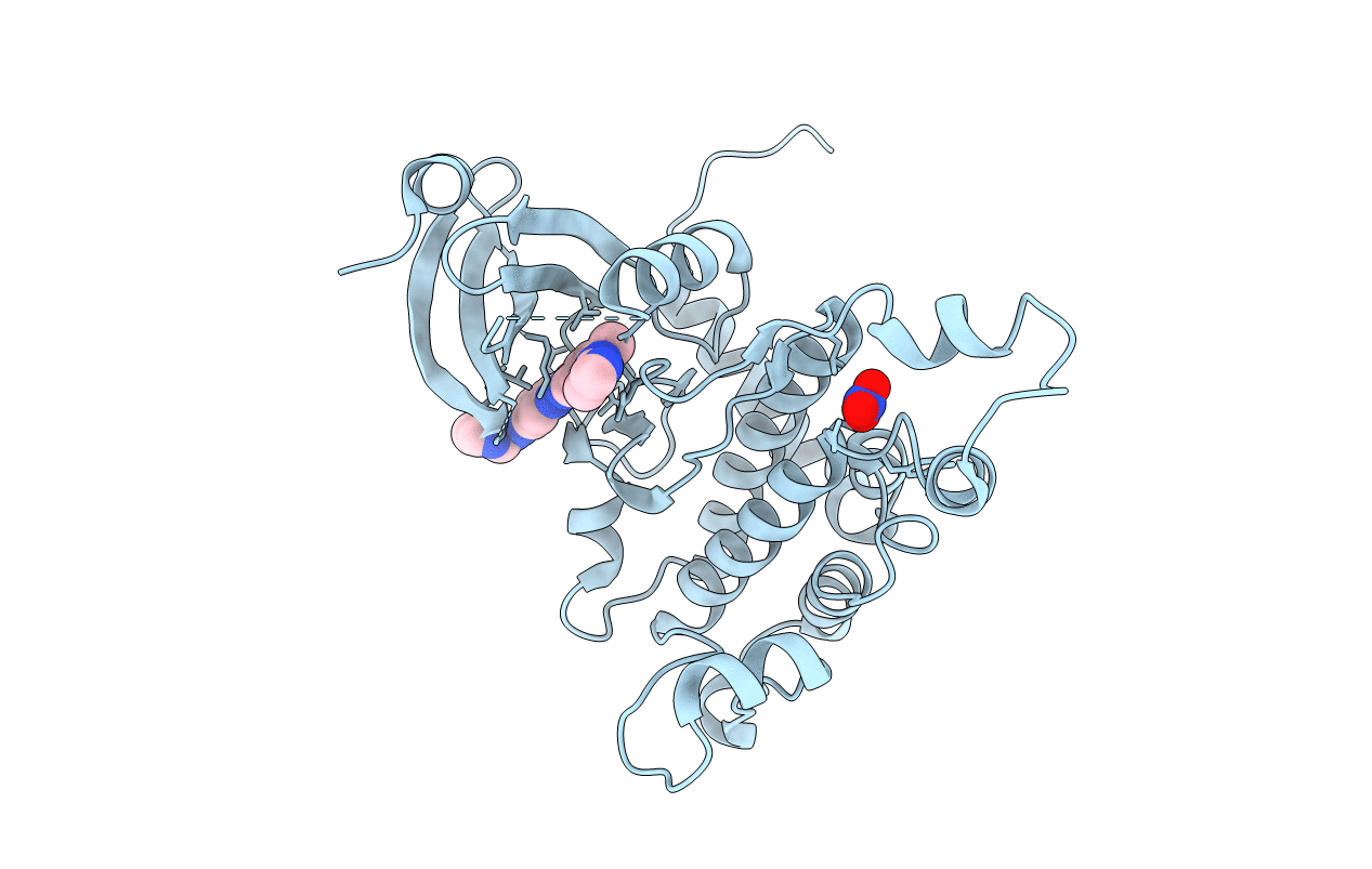 2YCR image
