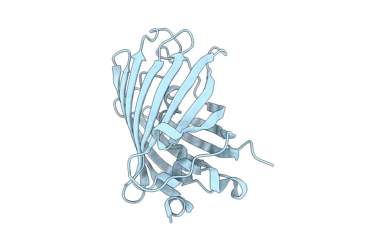 2YDZ image