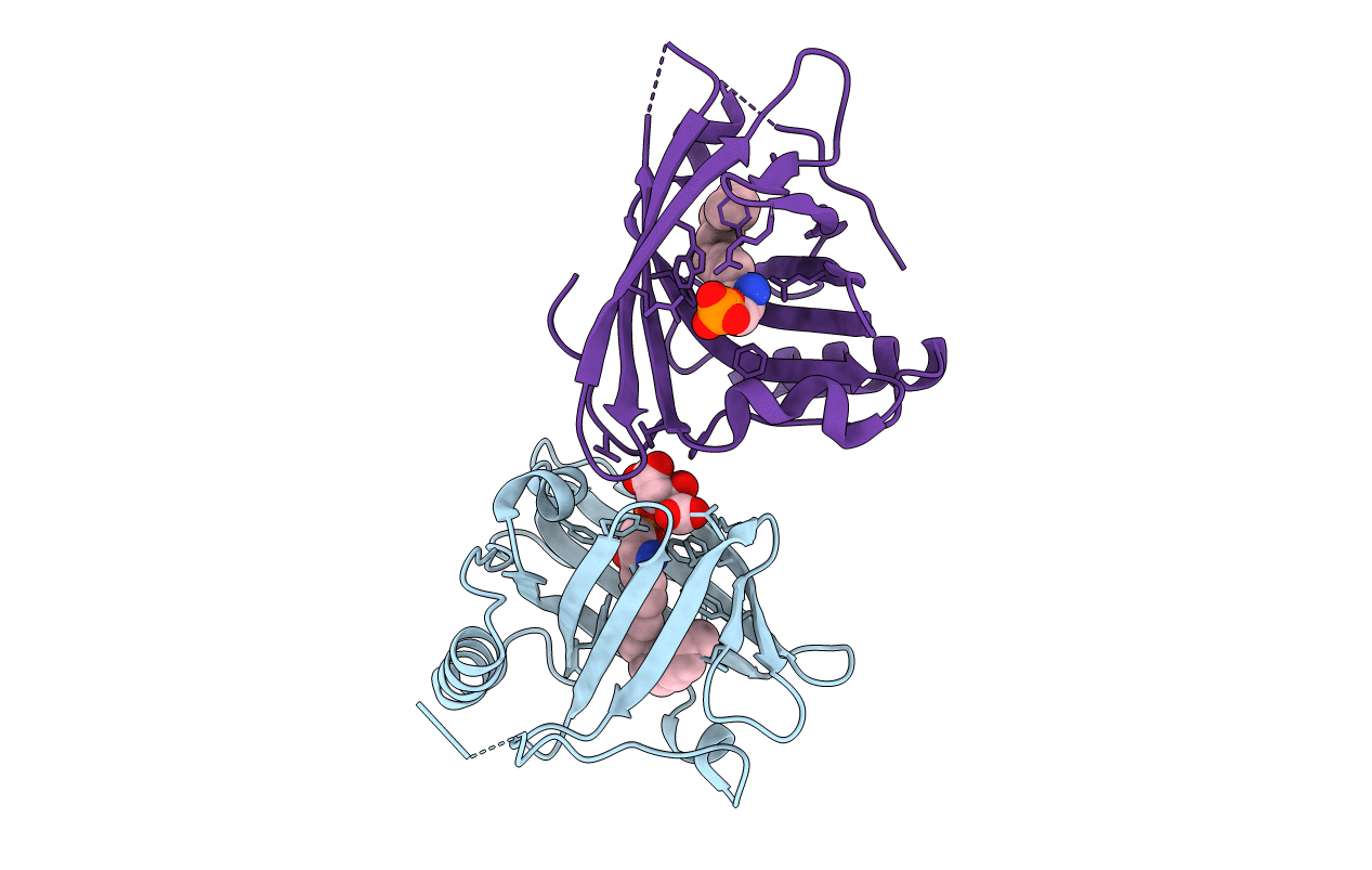 2YG2 image