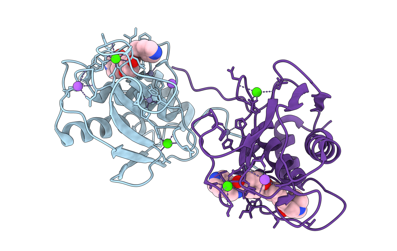 2YIG image