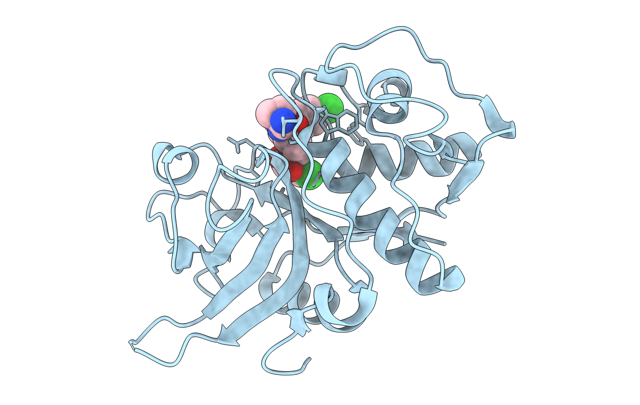 2YJC image