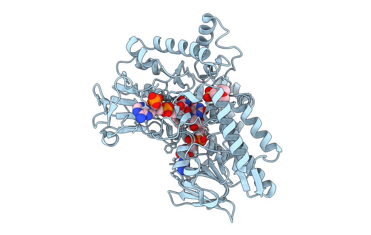 2YLX image
