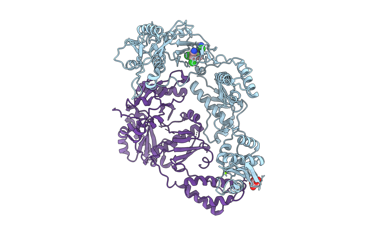 2YNI image