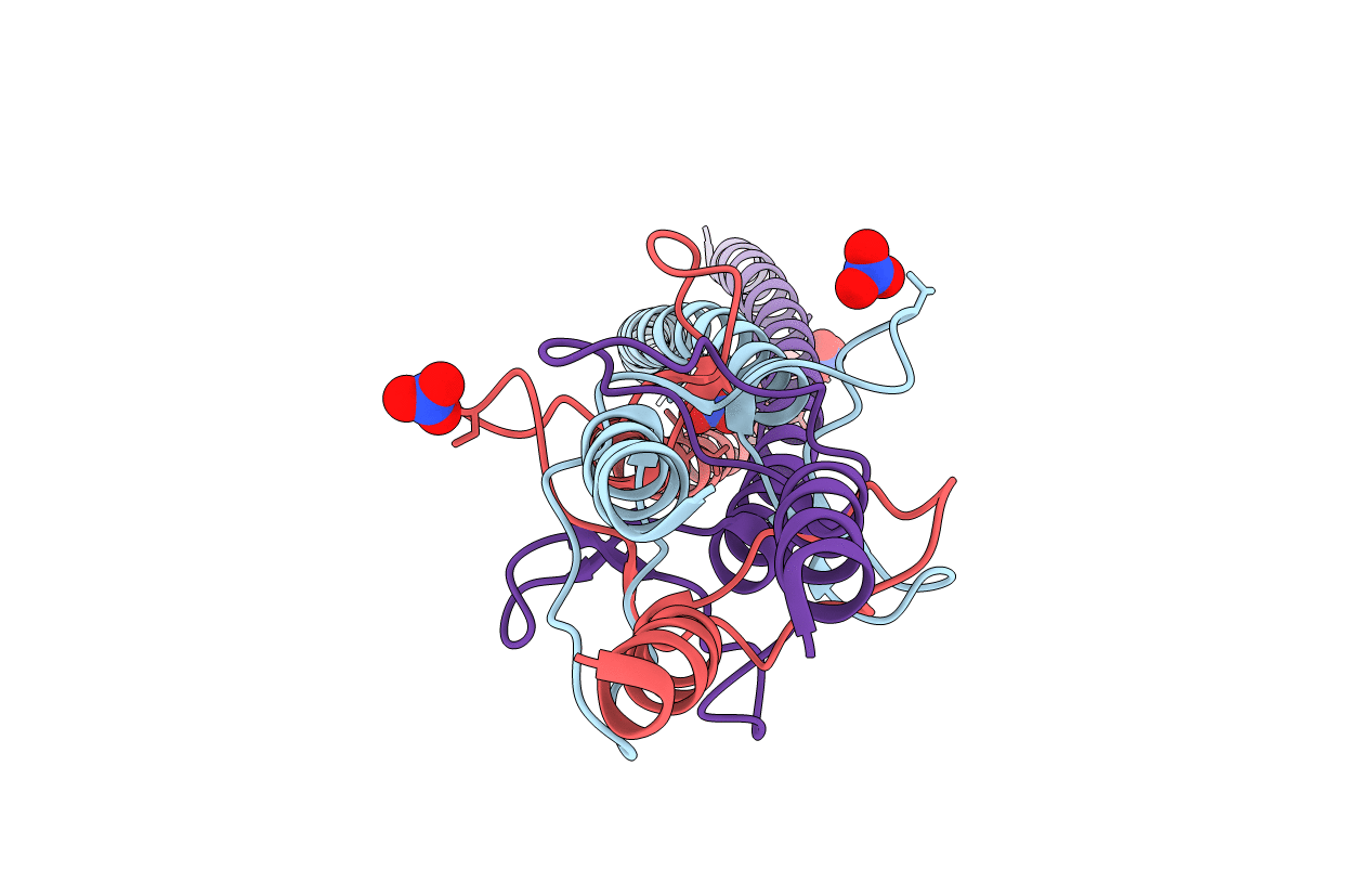 2YNZ image