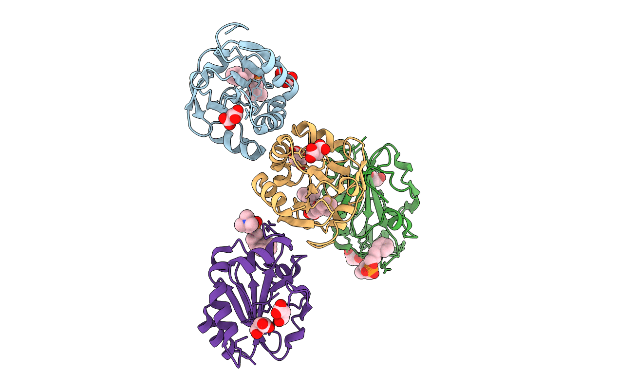 2YP6 image