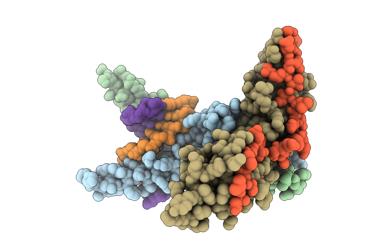 2YPA image