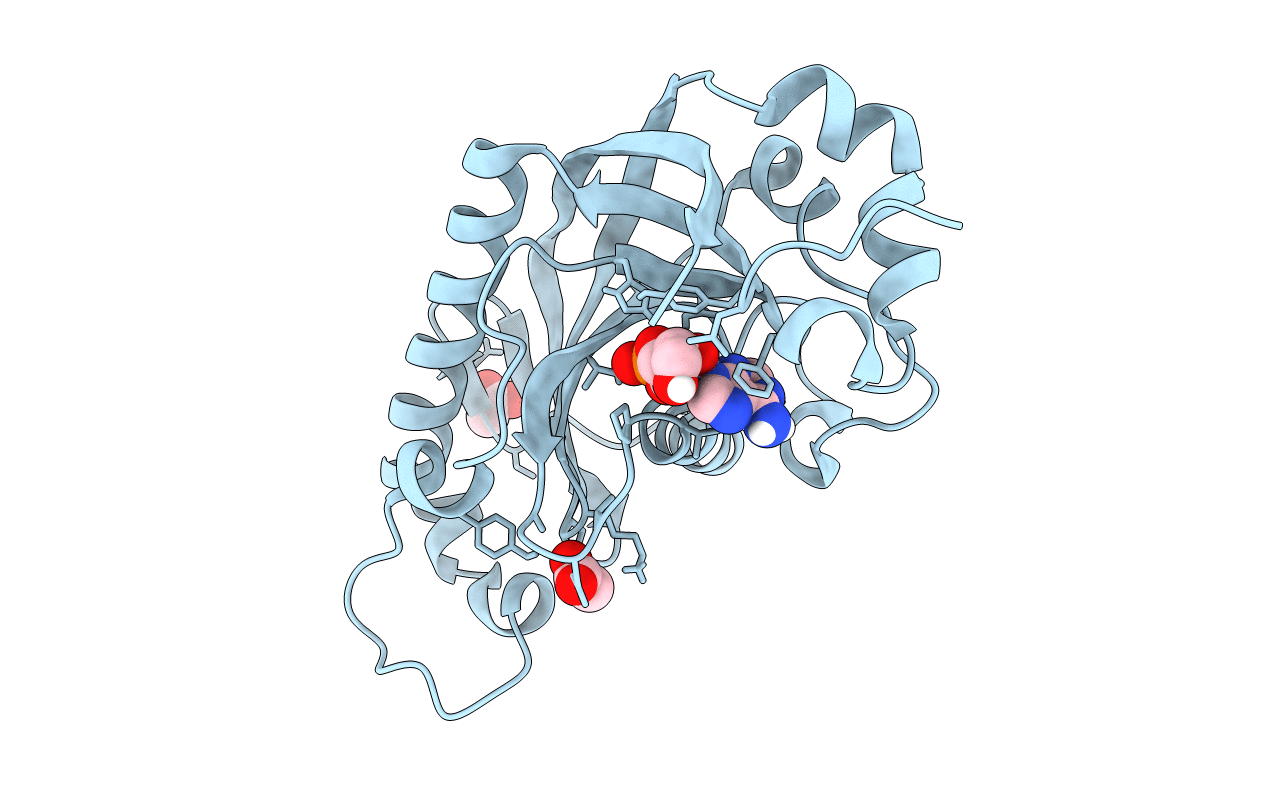 2YPE image