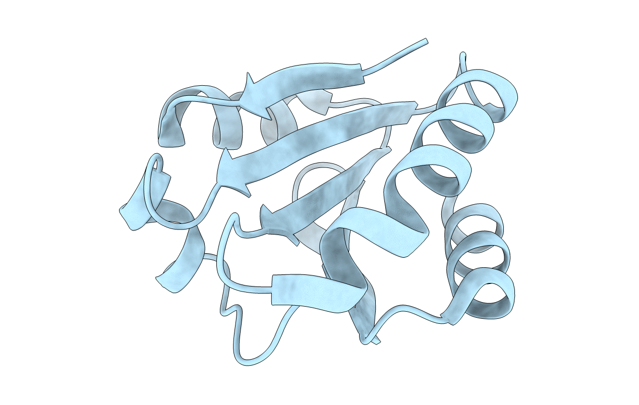 2YPM image