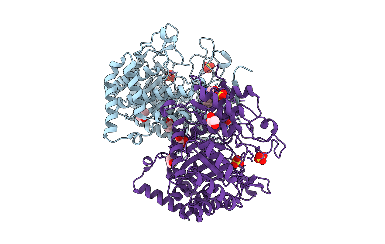 2YPO image