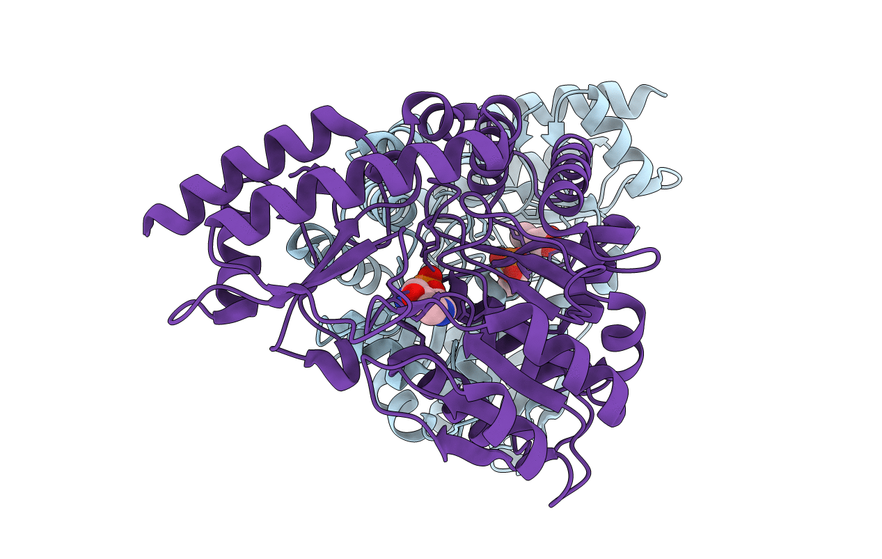 2YRI image