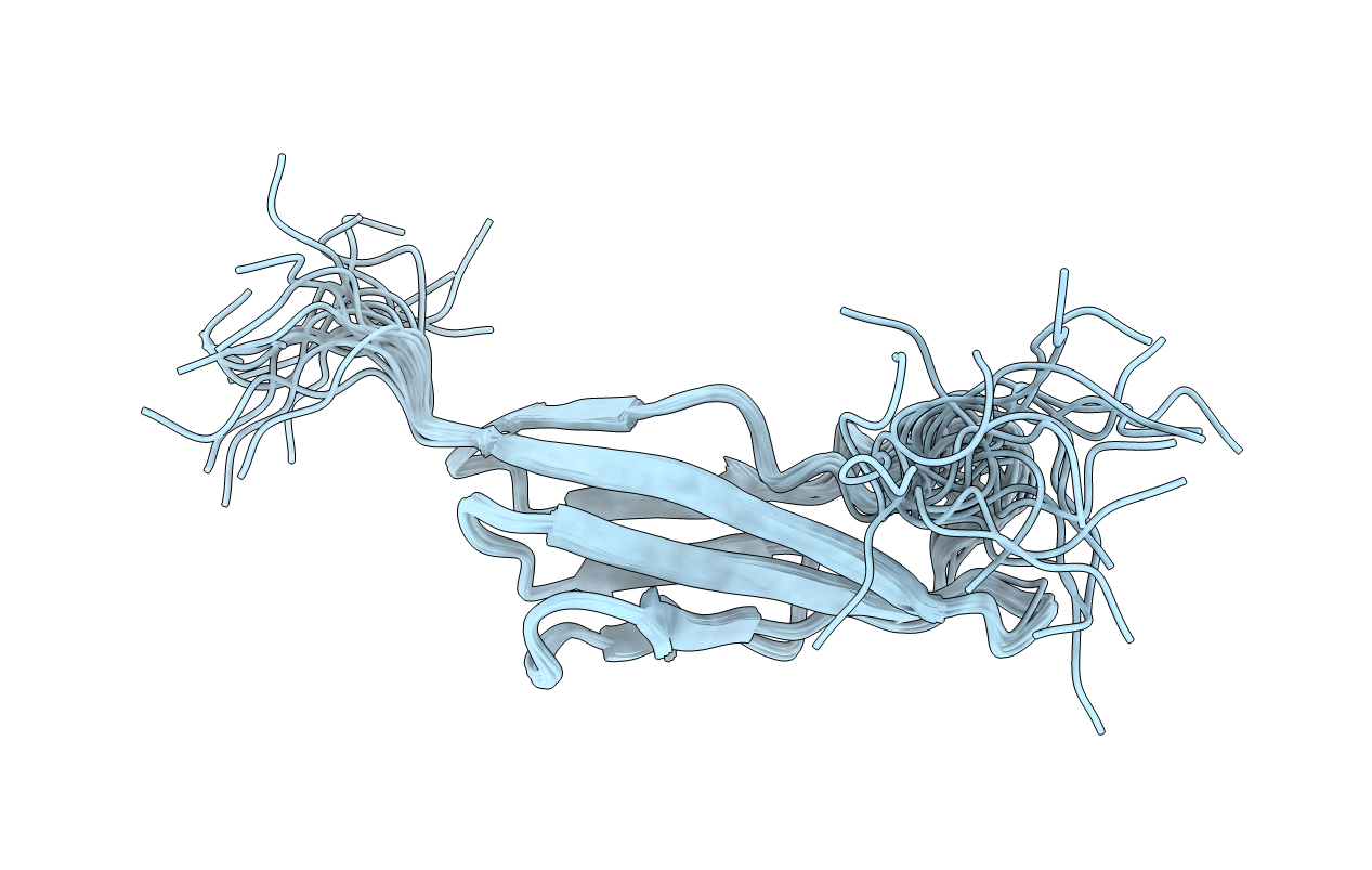 2YRL image